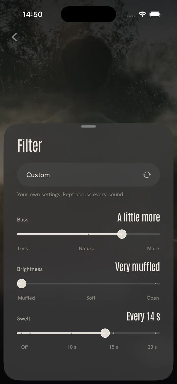 The Filter sheet: one preset pill and three hairline controls for bass, brightness and waves.