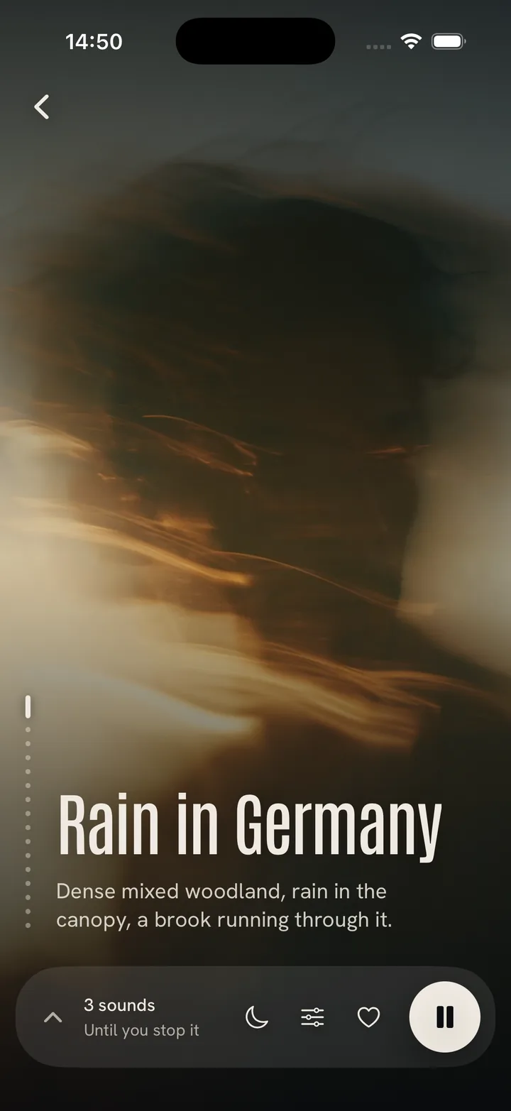 The Rain in Germany player: a golden double-exposure picture and the mix line about dense mixed woodland.