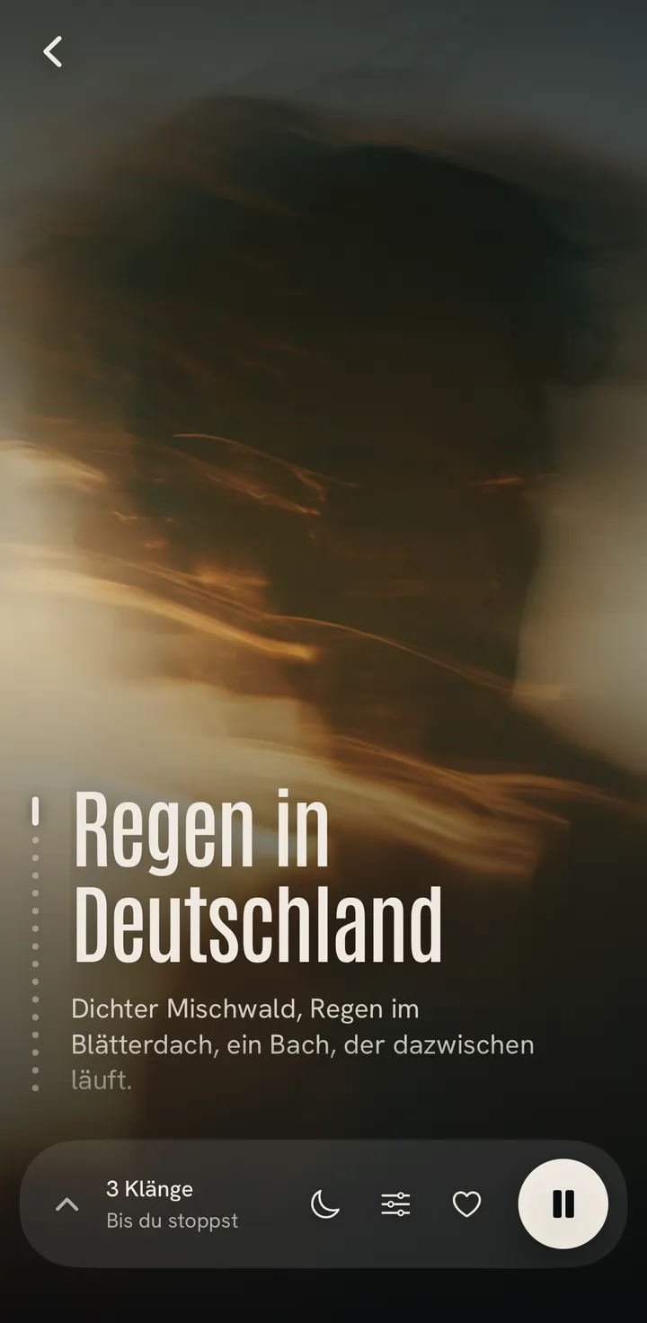 Der Player Regen in Deutschland: ein goldenes Doppelbelichtungsbild und die Zeile über dichten Mischwald.